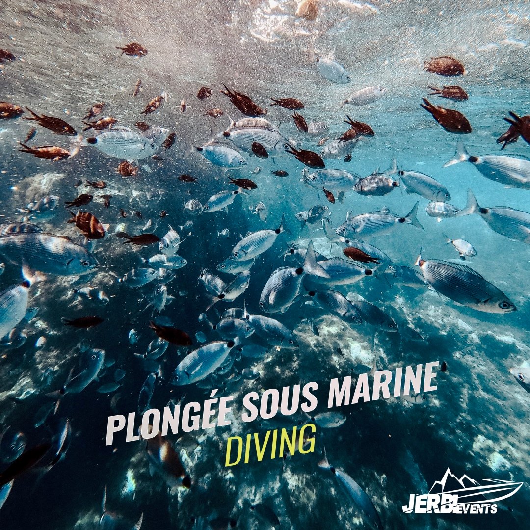 Plongée sous marine